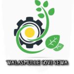 Walasmulle Govi Sewa